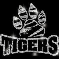 GLT32 SILVER GLITTER Thumbnail