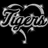 GLT77 SILVER GLITTER Thumbnail