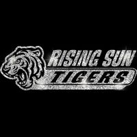 GLT102 SILVER GLITTER Thumbnail