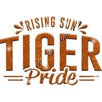 GLT62 ORANGE GLITTER Thumbnail